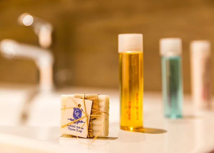 度假村 Costa Mare 马尔马里斯